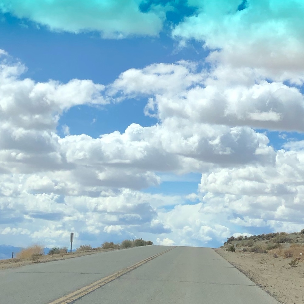 Meet your Posher, Cassie